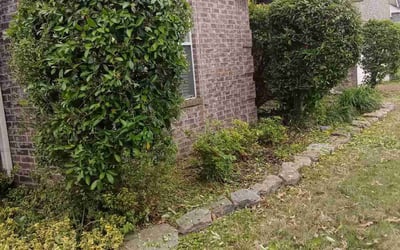 Photo of Stephanie H.'s yard after getting landscaping in Olive Branch, MS