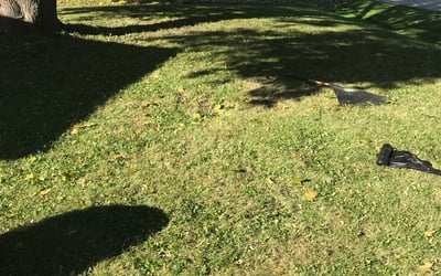 Photo of Heather S.'s yard after getting landscaping in Mukwonago, WI