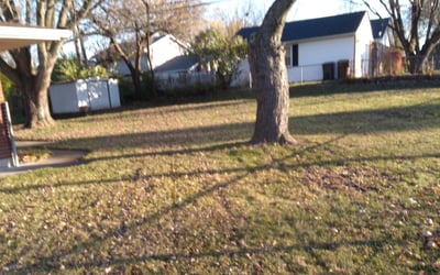 Photo of William D.'s yard after getting landscaping in Piqua, OH