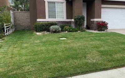 Photo of Victoria C.'s yard after getting landscaping in Twentynine Palms, CA
