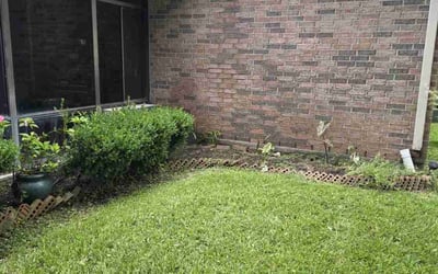 Photo of Sara H.'s yard after getting landscaping in North Houston, TX