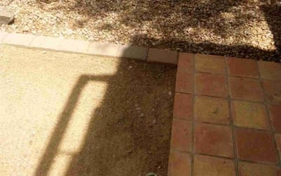 Photo of Mike J.'s yard after getting landscaping in Wittmann, AZ