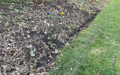Photo of Cheryl K.'s yard after getting landscaping in Bremen, OH