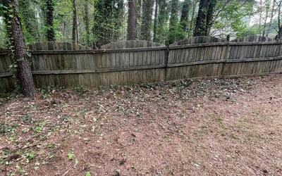 Photo of Tammy K.'s yard after getting landscaping in Rydal, GA