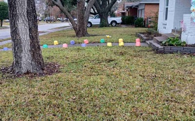 Photo of Chris N.'s yard after getting landscaping in Merit, TX