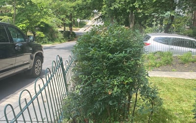 Photo of Jane J.'s yard after getting landscaping in Tuscarora, MD