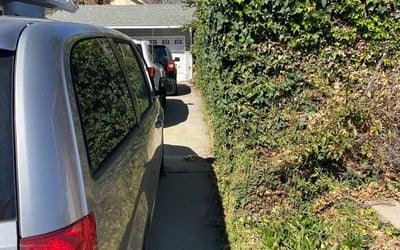 Photo of Desiree G.'s yard after getting landscaping in Bellflower, CA