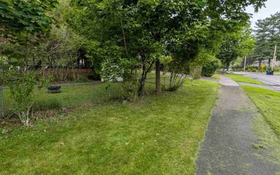 Photo of Sonja R.'s yard after getting landscaping in Syracuse, NY