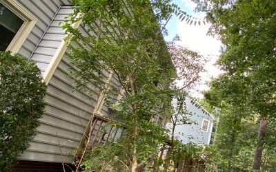 Photo of Bruce L.'s yard after getting landscaping in Pine Level, NC