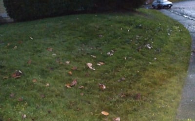 Photo of Rose L.'s yard after getting landscaping in Monroe, WA