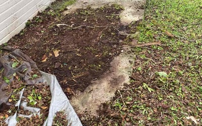 Photo of Mary W.'s yard after getting landscaping in Livingston, LA