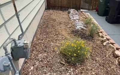 Photo of Valerie M.'s yard after getting tree care in Aurora, CO