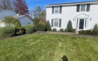 Photo of Lisa S.'s yard after getting landscaping in Wellington, OH