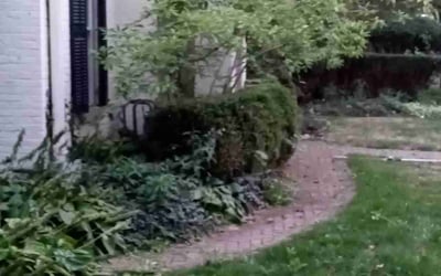 Photo of Jim T.'s yard after getting landscaping in New Straitsville, OH
