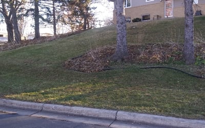 Photo of Keith T.'s yard after getting landscaping in Inver Grove Heights, MN
