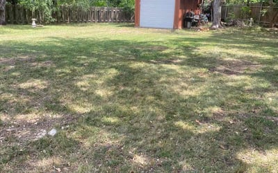 Photo of Brenda H.'s yard after getting landscaping in Leander, TX