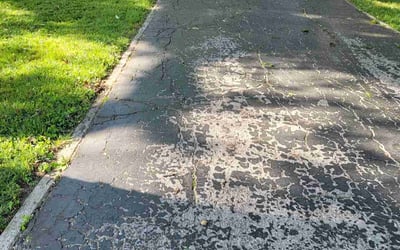 Photo of Emily W.'s yard after getting landscaping in Godfrey, IL