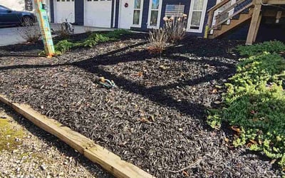 Photo of Amanda C.'s yard after getting landscaping in Good Hope, GA