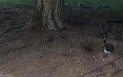 Photo of Annette C.'s yard after getting landscaping in Cloverdale, IN