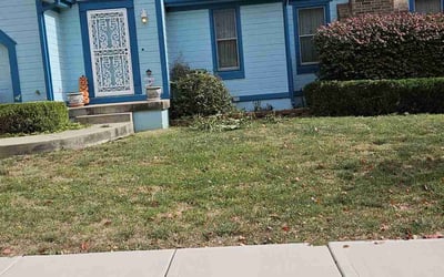 Photo of Linda C.'s yard after getting landscaping in Polo, MO