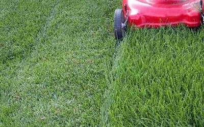 Photo of Kevin C.'s yard after getting landscaping in Waterford, MI