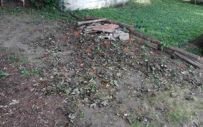 Photo of Scott M.'s yard after getting landscaping in Saint Bonifacius, MN