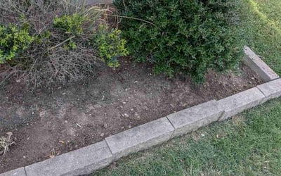 Photo of Patricia W.'s yard after getting landscaping in Rio Medina, TX