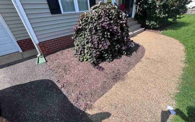 Photo of Montiqua S.'s yard after getting tree care in Glen Allen, VA