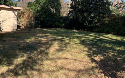 Photo of Aaron S.'s yard after getting landscaping in Staples, TX