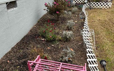 Photo of Charlene N.'s yard after getting landscaping in Manchester, GA