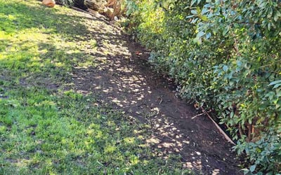 Photo of Jason H.'s yard after getting landscaping in Colfax, CA
