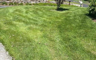 Photo of Sal S.'s yard after getting tree care in Germantown, MD