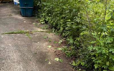 Photo of Maureen W.'s yard after getting landscaping in Timberlake, NC