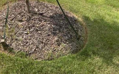 Photo of Bryena D.'s yard after getting tree care in Davidson, NC