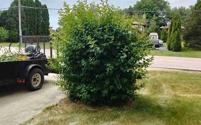 Photo of Andrew M.'s yard after getting landscaping in Peotone, IL