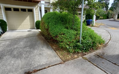 Photo of Eric S.'s yard after getting landscaping in Silvana, WA