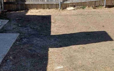 Photo of Charlotte B.'s yard after getting landscaping in Amarillo, TX