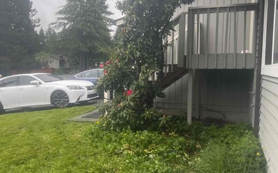 Photo of Judy R.'s yard after getting tree care in Spokane, WA