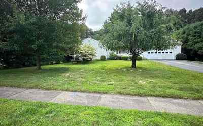 Photo of Athena B.'s yard after getting lawn care in Glastonbury, CT