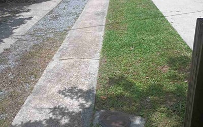 Photo of Sarah H.'s yard after getting landscaping in New Orleans, LA