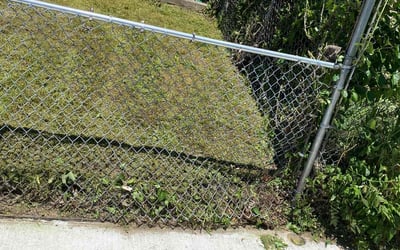 Photo of Lakia S.'s yard after getting landscaping in Garnet Valley, PA
