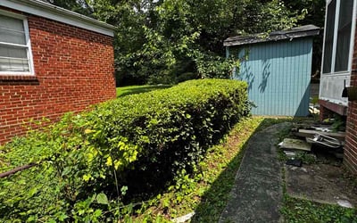 Photo of Sal S.'s yard after getting tree care in Gaithersburg, MD