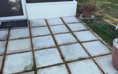 Photo of Edward M.'s yard after getting landscaping in Holiday, FL