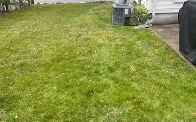 Photo of Patricia W.'s yard after getting landscaping in Newport, RI