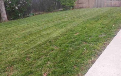 Photo of Amy D.'s yard after getting landscaping in Pine, CO