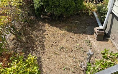 Photo of Anthony F.'s yard after getting landscaping in Hingham, MA