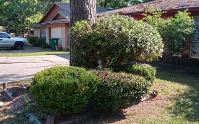 Photo of Barbara J.'s yard after getting landscaping in Old Ocean, TX