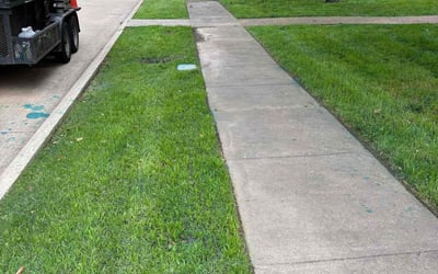 Photo of Terry B.'s yard after getting landscaping in Rowlett, TX