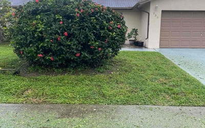Photo of Ana F.'s yard after getting tree care in West Palm Beach, FL