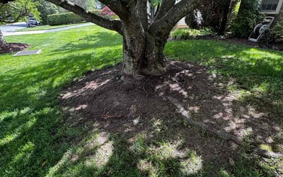 Photo of Calvin R.'s yard after getting tree care in Derwood, MD